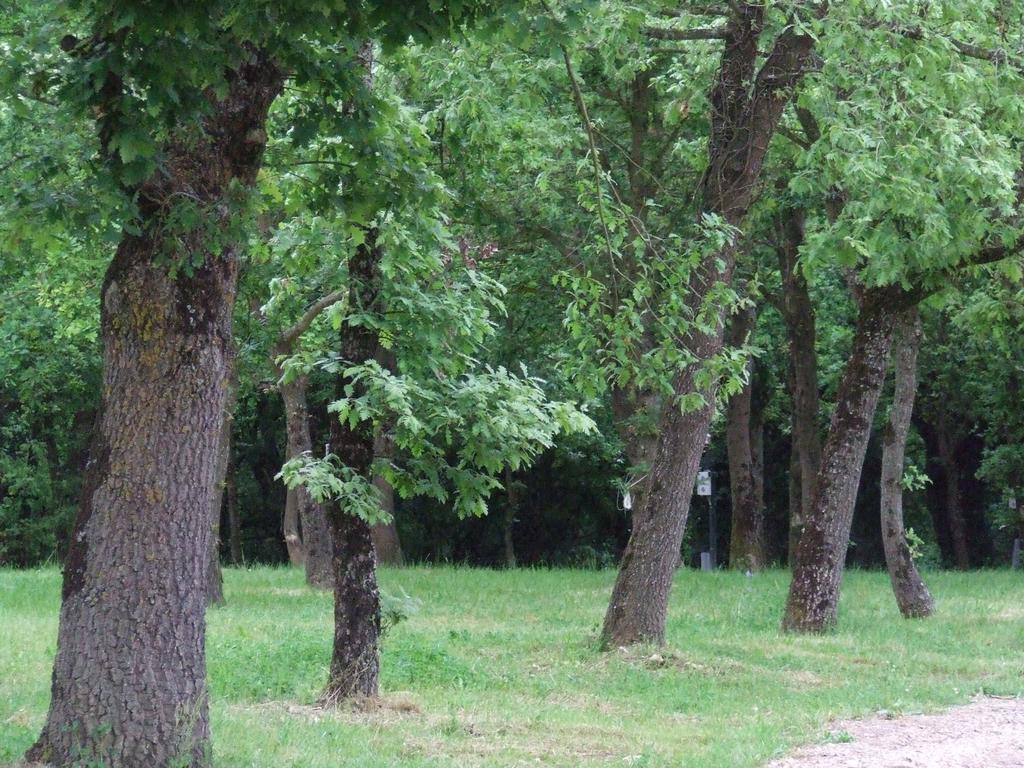 Camping Vila de Sarria Exterior foto